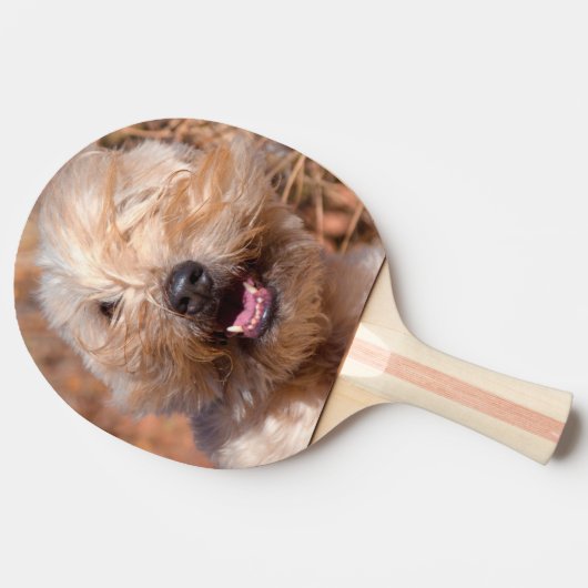 Portrait "Weichkalotte" Tischtennis Schläger (Seitenansicht)