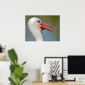 Portrait-weiße Storchen die offene Schnalle Poster (Heimbüro)