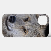 Portrait "White Arctic Wolf Face Wildlife" Case-Mate iPhone Hülle (Rückseite (Horizontal))