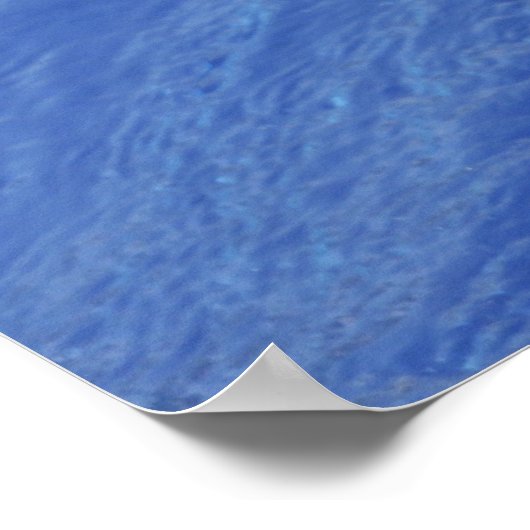 Portraitdolphin mit einem Ball im Mund Poster (Ecke)