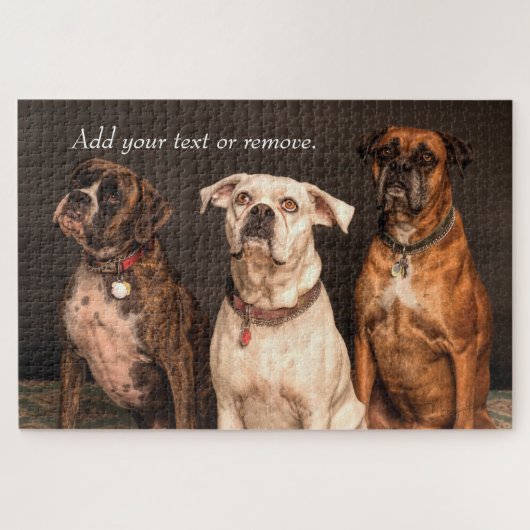 Portraitfoto von 3 niedlichen Boxerhunden. Puzzle (Horizontal)