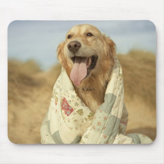 Portraithund am Strand unter Steg. Fall Mousepad (Vorne)