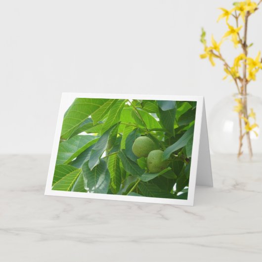 Portraitkarte Walnut Tree Karte (Gelbe Blume)