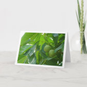 Portraitkarte Walnut Tree Karte (Vorderseite)