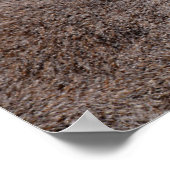 Portraitring-Taille-Postkartenaufkleber Poster (Ecke)