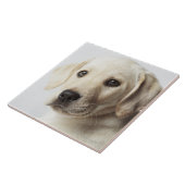 Porträt blonden Labrador retriever-Welpen Fliese (Seite)