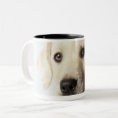 Porträt blonden Labrador retriever-Welpen Zweifarbige Tasse (Vorderseite Links)