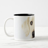 Porträt blonden Labrador retriever-Welpen Zweifarbige Tasse (Links)