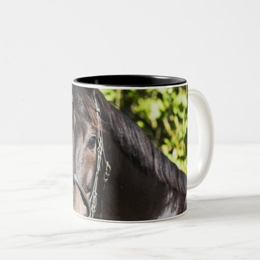 Porträt braunen Pferds 2 Zweifarbige Tasse (VorderseiteRechts)