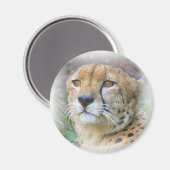 Porträt der Cheetah Magnet (Vorderseite/Rückseite)