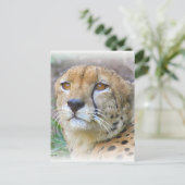 Porträt der Cheetah Postkarte (Stehend Vorderseite)
