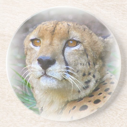Porträt der Cheetah Sandstein Untersetzer (Vorne)