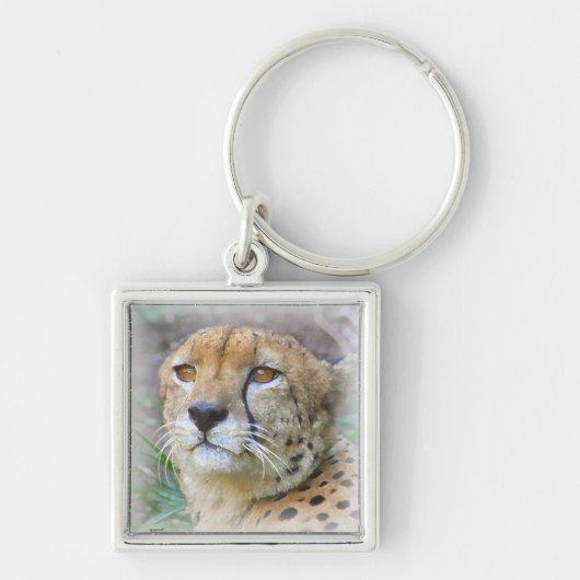Porträt der Cheetah Schlüsselanhänger (Vorne)