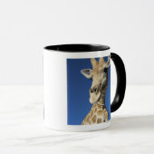 Porträt der Giraffe (Giraffa Camelopardalis) 2 Tasse (VorderseiteRechts)