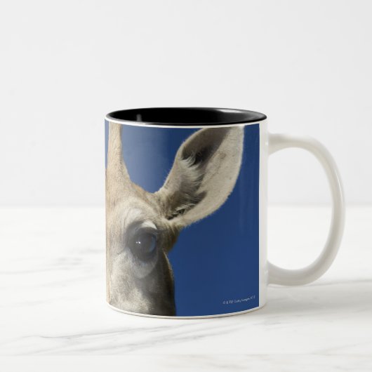 Porträt der Giraffe (Giraffa Camelopardalis) 2 Zweifarbige Tasse (Rechts)