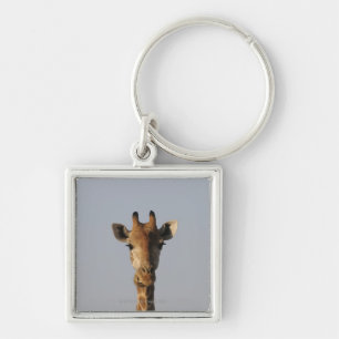 Porträt der Giraffe (Giraffa camelopardalis) Schlüsselanhänger
