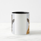 Porträt der Giraffe (Giraffa camelopardalis) Tasse (Zentrum)