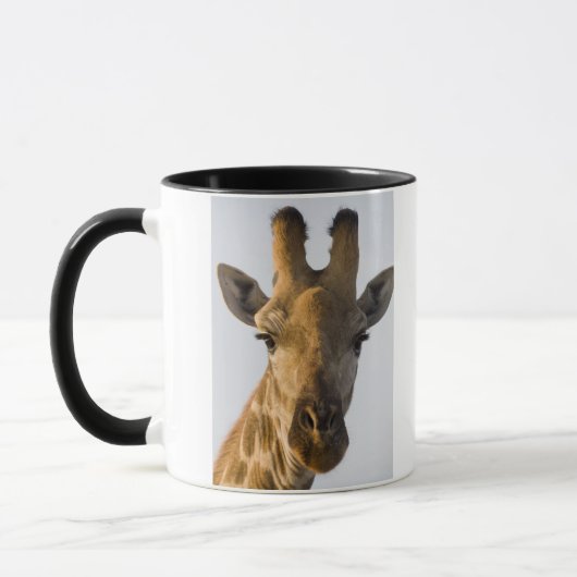 Porträt der Giraffe (Giraffa camelopardalis) Tasse (Links)