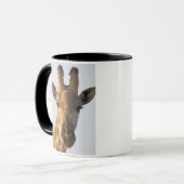 Porträt der Giraffe (Giraffa camelopardalis) Tasse (Vorderseite Links)