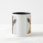 Porträt der Giraffe (Giraffa camelopardalis), Tasse (Zentrum)