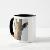 Porträt der Giraffe (Giraffa camelopardalis), Tasse (Vorderseite Links)