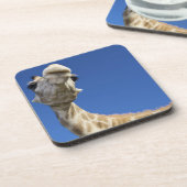 Porträt der Giraffe (Giraffa Camelopardalis) Untersetzer (Linke Seite)