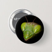 Porträt der Gottesanbeterin Button (Vorne & Hinten)