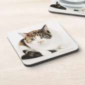 Porträt der Kalikokatze Getränkeuntersetzer (Linke Seite)