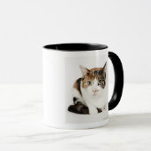 Porträt der Kalikokatze Tasse (VorderseiteRechts)