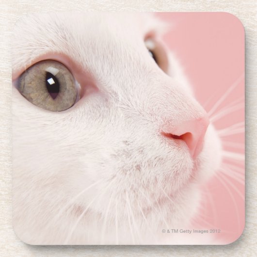 Porträt der Katze Getränkeuntersetzer (Vorderseite)