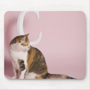 Porträt der Katze Mousepad