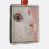 Porträt der Katze Silbernes Ornament (Rechts)
