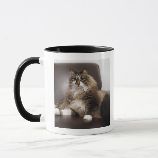 Porträt der Katze sitzend im Stuhl Tasse (Links)