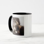 Porträt der Katze sitzend im Stuhl Tasse (Vorderseite Links)
