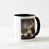 Porträt der Katze sitzend im Stuhl Tasse (VorderseiteRechts)