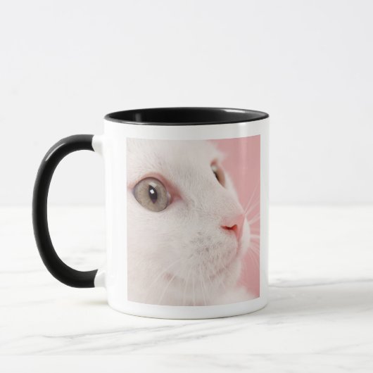 Porträt der Katze Tasse (Links)