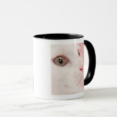 Porträt der Katze Tasse (VorderseiteRechts)