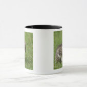 Porträt der Katze Tasse (Zentrum)