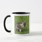 Porträt der Katze Tasse (Links)