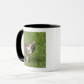 Porträt der Katze Tasse (Vorderseite Links)