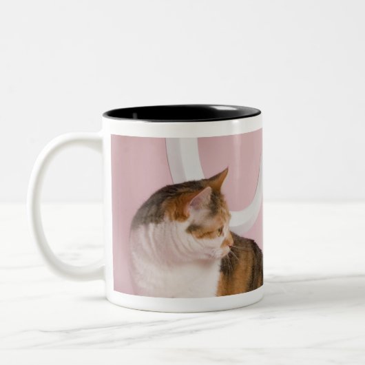 Porträt der Katze Zweifarbige Tasse (Links)
