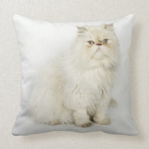 Porträt der persischen Katze Kissen
