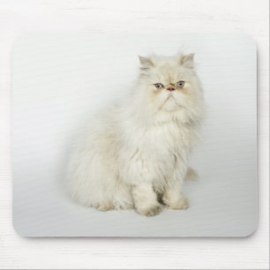 Porträt der persischen Katze Mousepad