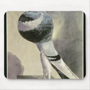 Porträt der Pouter-Taube Mousepad