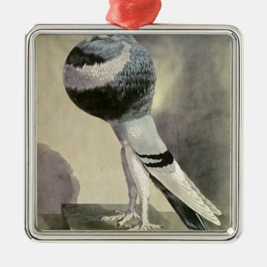 Porträt der Pouter-Taube Ornament Aus Metall (Vorne)