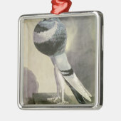 Porträt der Pouter-Taube Ornament Aus Metall (Links)