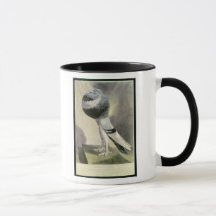 Porträt der Pouter-Taube Tasse