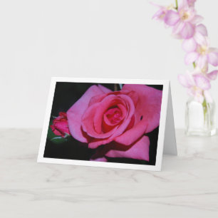 Porträt der rosa Rosenblume Karte
