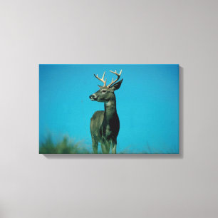 Porträt der Rotwild Leinwanddruck