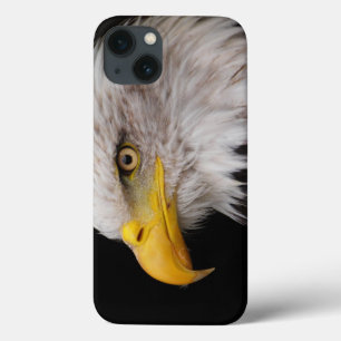 Porträt des Adlers Case-Mate iPhone Hülle